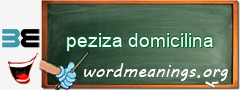 WordMeaning blackboard for peziza domicilina